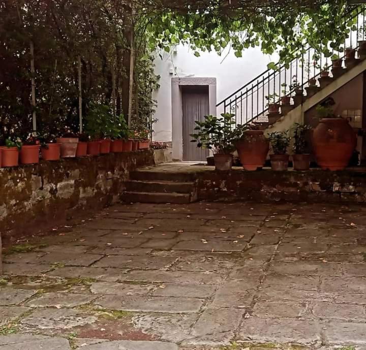 Albergo Del Ponte San Piero in Bagno Kültér fotó